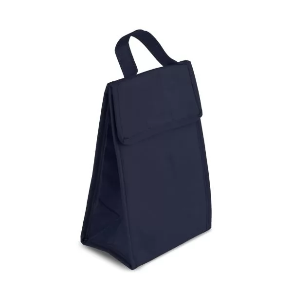 BOLSA TÉRMICA EM TNT 80G/M² - AZUL - 27X17X105 CM